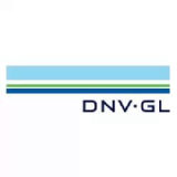 DNV 标准与规范