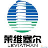 莱维塞尔